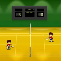PLay Badminton in the Hall now!