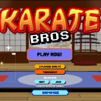 PLay Karate Bros now!